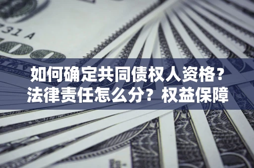 济南如何确定共同债权人资格？法律责任怎么分？权益保障技巧揭秘！