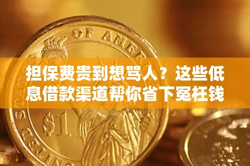 济南担保费贵到想骂人？这些低息借款渠道帮你省下冤枉钱