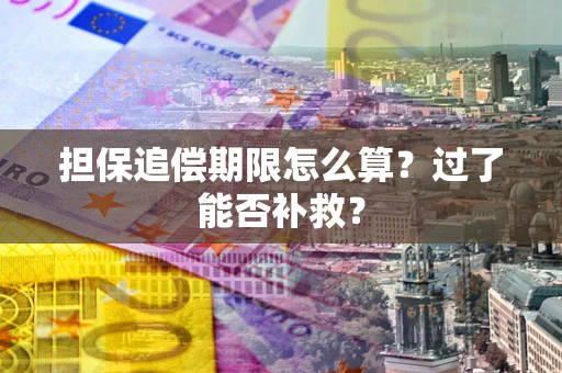 济南担保追偿期限怎么算？过了能否补救？